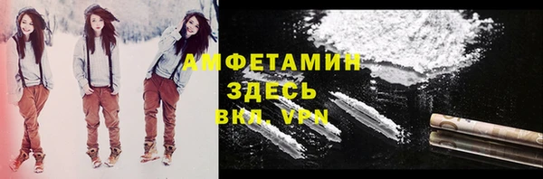 сатива Вяземский