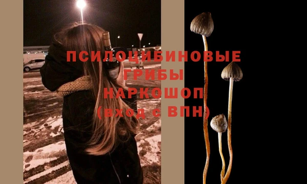 сатива Вяземский