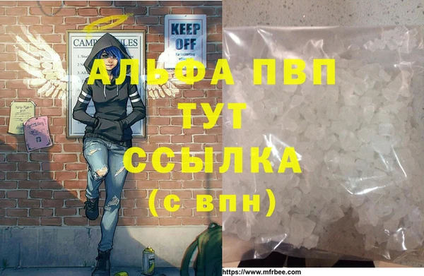 сатива Вяземский