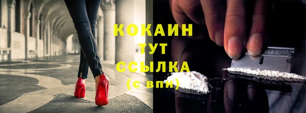 сатива Вяземский