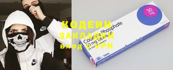 сатива Вяземский