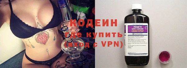 сатива Вяземский