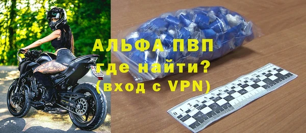 сатива Вяземский