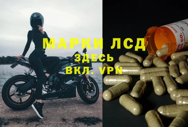 сатива Вяземский