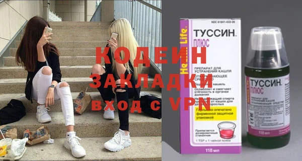 сатива Вяземский