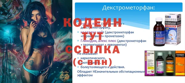 сатива Вяземский