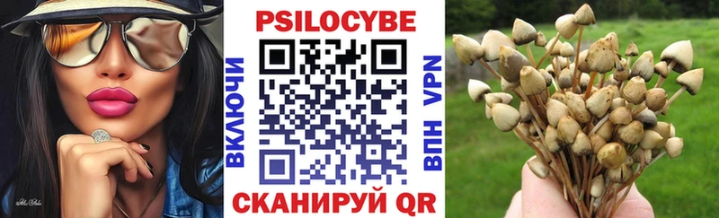 kraken ТОР  Бологое  Псилоцибиновые грибы GOLDEN TEACHER 